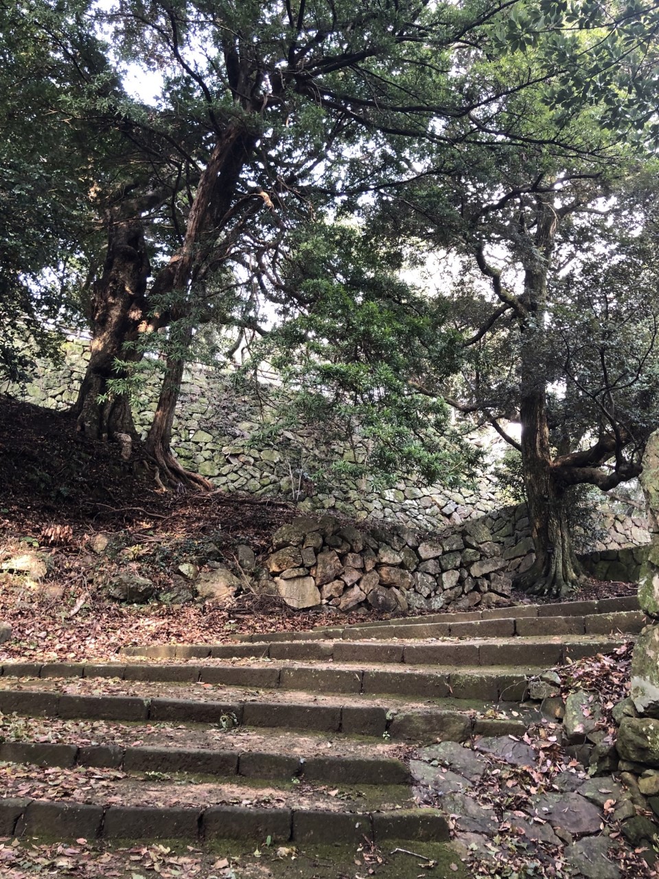 苔むす石段