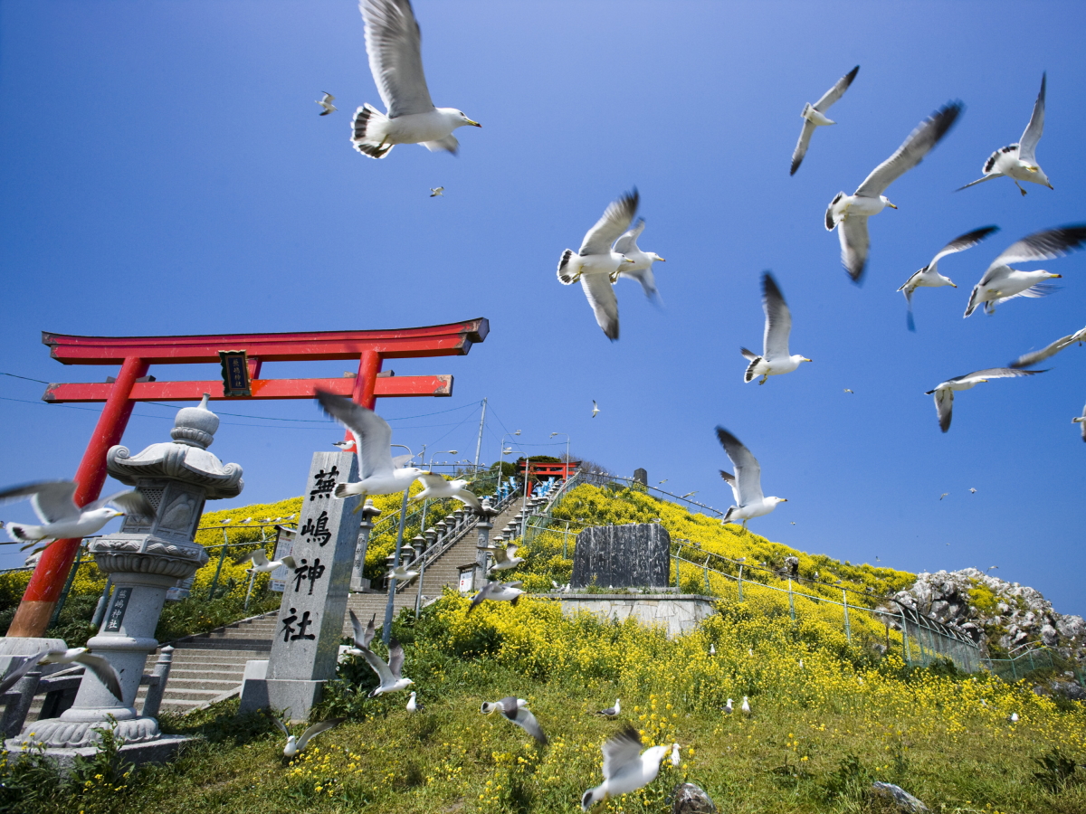 蕪島