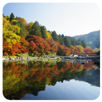 秋の香嵐渓