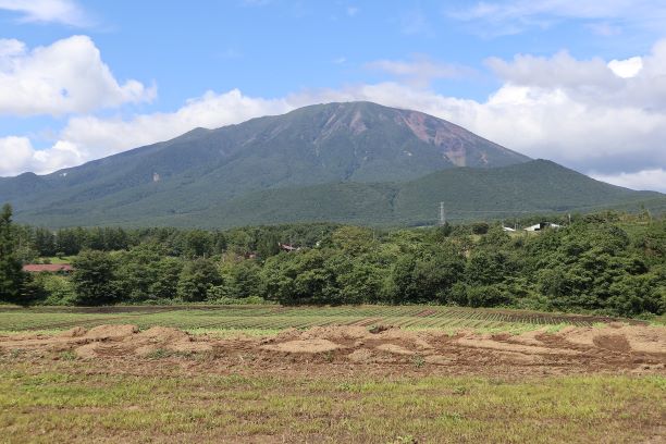 窓からの景色