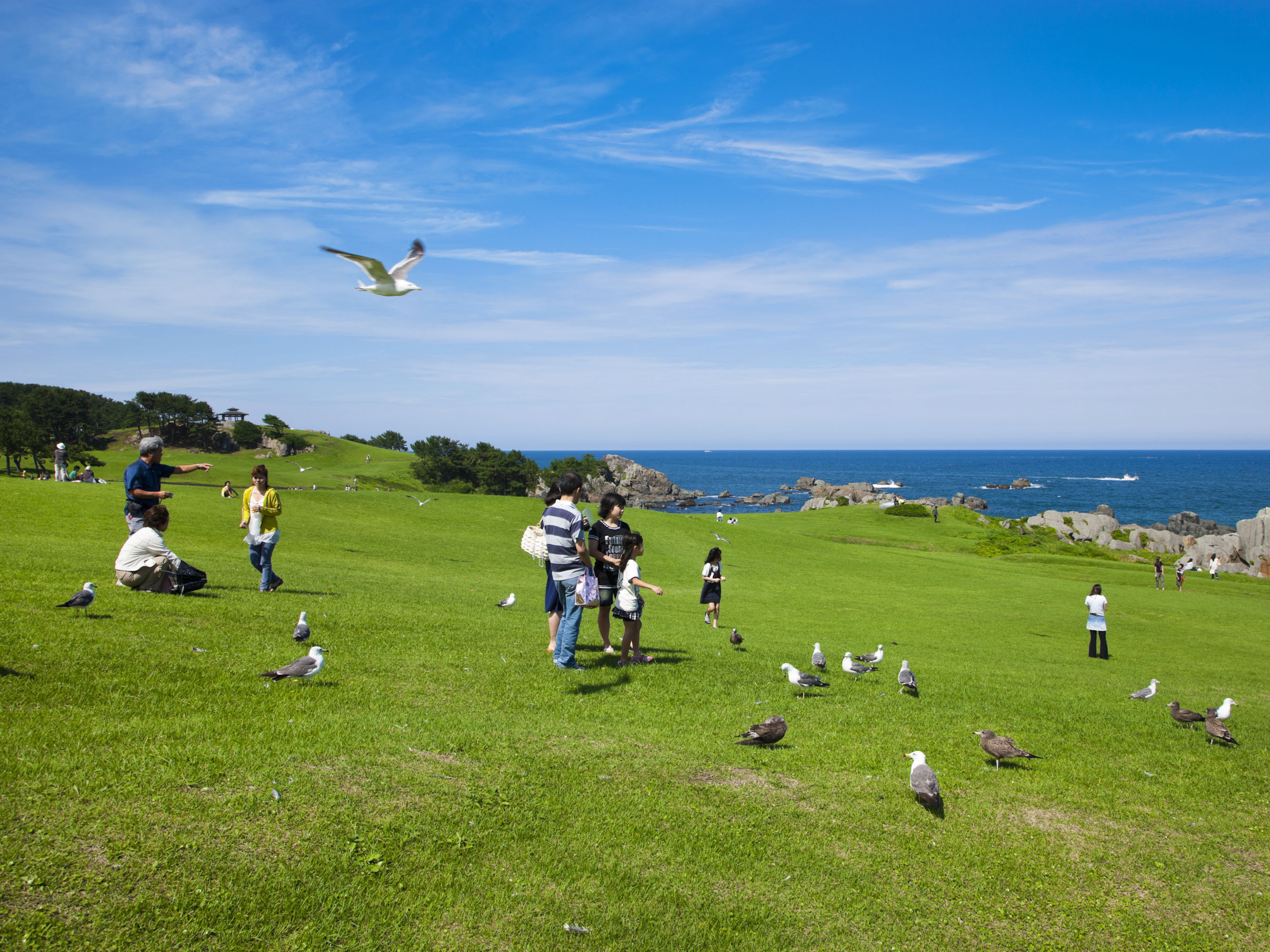 種差海岸